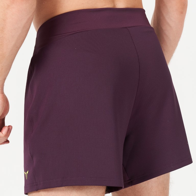 Lab360° TDry™ Flex Shorts - Plum Perfect